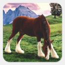 Recherche de clydesdale autocollants Équin