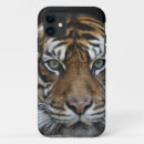 Zoek naar tiger elektronica Foto