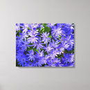 Recherche de osteospermum art Fleur