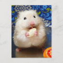 Recherche de hamsters cartes postales Animal