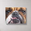 Recherche de chien bouledogue art Animaux