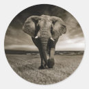 Recherche de wildlife party autocollants Animal