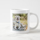 Recherche de labrador jaune tasses Mignon