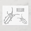 Recherche de foudre cartes postales Amusant