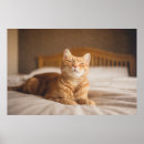 Zoek naar katten afbeeldingen posters Vrienden