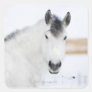 Zoek naar paard portret stickers Dier