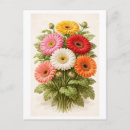 Recherche de dessin marguerite cartes postales Botanique