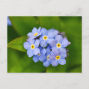 Recherche de nots cartes postales Fleurs