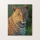 Recherche de adultr puzzles Animal