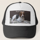 Recherche de rassemblement du chien Beagle