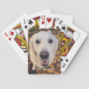 Zoek naar labrador retriever speelkaarten Schattig