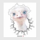 Recherche de grands yeux bleus autocollants Blanc