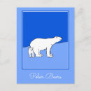 Recherche de ourson cartes postales Ours polaire