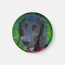 Recherche de laboratoires magnets Noir