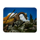 Recherche de vinyle magnets Imaginaire