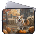 Recherche de souillé coques Corgi