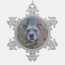 Recherche de pitbull ornements Animaux