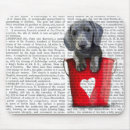 Recherche de chiot teckel tapis souris Animaux