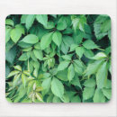 Zoek naar groene muismatten Groenblauw
