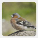 Recherche de broyeur autocollants Ciné