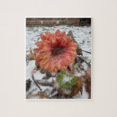 Recherche de givré puzzles Glace