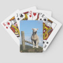Recherche de moutons jeux de cartes Baleines