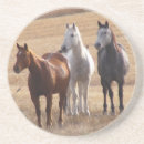 Recherche de troupeau chevaux de dessous de verres Blanc