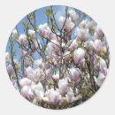 Recherche de fleurit la nature cadeau emballages Printemps