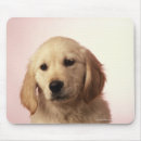 Recherche de mousepad golden retriever tapis souris Animaux