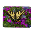 Recherche de rose foncé magnets Fleur