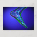 Recherche de pied humain posters Cheville