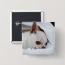 Recherche de animaux de photo badges Mignon