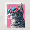 Recherche de chats roses cartes postales Pour tous