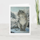 Zoek naar sneeuw luipaard kaarten Kat