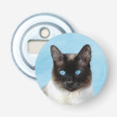 Recherche de chat siamois Portrait