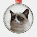 Zoek naar grumpy ornamenten Kat