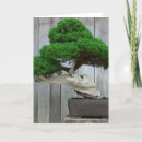 Zoek naar bonsai kaarten Oud