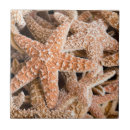 Recherche de étoile carreaux Animaux
