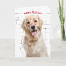 Zoek naar kus verjaardagskaarten Romance