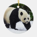 Recherche de zoo ornements Hiver