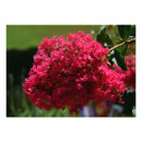 Recherche de macro art Botanique
