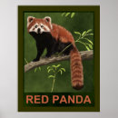 Recherche de nepal posters Himalayas