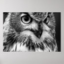Recherche de animal prédateur posters Majestueux