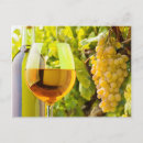 Recherche de vin blanc cartes postales Boisson