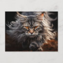 Recherche de maine coon cartes postales Drôle
