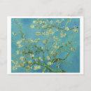 Zoek naar almond blossom briefkaarten Floral