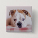 Recherche de timide badges Mignon