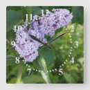 Recherche de lilas horloges Feuille