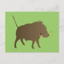 Recherche de sangliers cartes postales Sauvage
