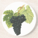 Recherche de vin rouge dessous de verres Vignoble